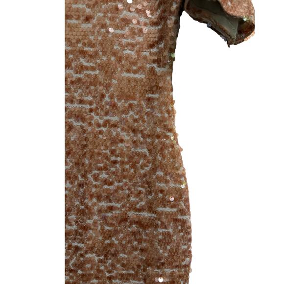 BCBG Maxazria Medium Sequined Brown Short Sleeve Dress - Picture 5 of 7